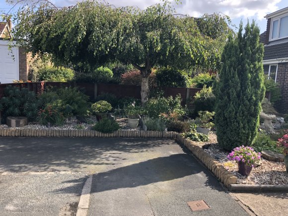 Runner up in 2019 garden competition